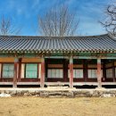 홍산객사 은행나무 이미지