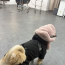 윙크분식 이미지