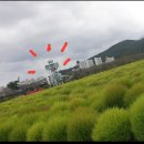 황산공원 축구장 | 양산 황산공원 댑싸리 아직 초록초록합니다 2025.10.09