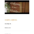 그레이스 | 본식DVD 생략말고 기준잡아 셀렉한 더그레이스무비 후기 (구성 분위기)