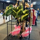 스카이리조트 | 무주스키장 스카이렌탈샵 후기 리프트권 할인, 리조트할인, 신상 보드복까지 내돈내산