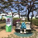 서울우유협동조합안산공장 - 36577 | 서울우유협동조합안산공장