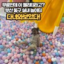 이바구 복합문화체육센터 | 부산 동구 실내놀이터 무료인데 이 퀄리티? 이바구 복합문화체육센터 다녀와보았다