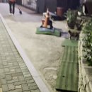 피리부는아저씨 이미지