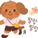 살롱드연 이미지