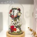 부곡동꽃집 아세플로라 가격 위치 영업시간