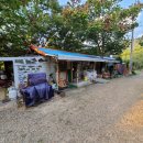 나그네 캠핑장 이미지