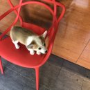 내고향노래연습장 이미지