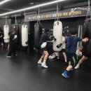 팀 해명 짐 이미지