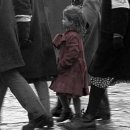 호인세상 이미지