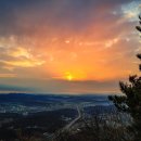 경기도 수원시 영통구 봉영로 이미지