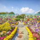 구청 남측광장 이미지