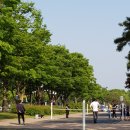 로뎀77 이미지