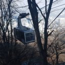 독수리체육관 이미지