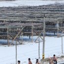 도암중학교 | [2015.1.11] 대관령 알몸마라톤 대회후기 - 10km