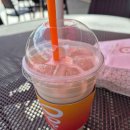 주식회사 미로펫 이미지