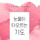 이복현 시인의 시조집 『눈물이 타오르는 기도』(2023. 10. 시산맥사) 이미지