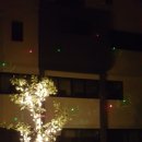 위미 모루왓 이미지