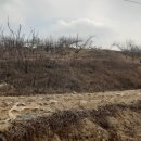 금가면사무소 이미지