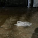 유진돈까스 앤 국수 | 25. 07 기록 ( 위키드맨즈헤어, 구구구, 돈까스잔치, 카페드람브르, 카페사사, 종삼육, 유진식당 )