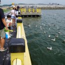 천수만해상낚시공원 이미지