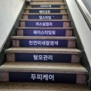 창원 두피관리 잘 하는 곳 &#34;케이뷰티 큐사랑&#34; 방문후기