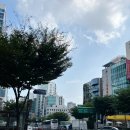 [평일 맛집 투어] 런던베이글 도산점 포장｜자연도 소금빵 도산｜강민주의 들밥 본점 후기