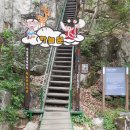 온누리문막약국 이미지