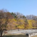 첨단분자생물의학연구소(주) | 질병은 없다 -제프리 블랜드