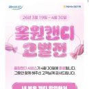 올원 티스토리