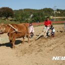 횡성한우 - 하남시 초이로92번길 41-8 | 횡성한우