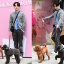 신도림S동물의료센터 이미지