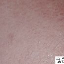 쵸콜릿뷰티 네이버블로그