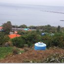 욕지초등학교 이미지