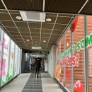 드림아이안경·콘택트 이미지