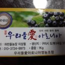 파란들농장 네이버블로그