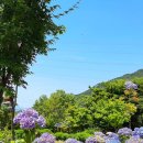 대천천누리길 화장실 이미지