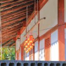 삼척 천은사 금동약사여래입상 이미지