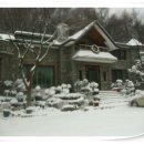 날마다 맛집 이미지