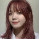 딸기미용실 이미지