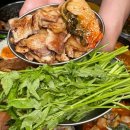 일품냉삼쭈삼 이미지