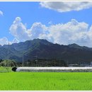 대강면 석촌마을 이미지