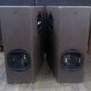 Morgan Sound 12인치 2웨이 스피커 RH-310 이미지