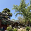 전주맑은약국 이미지