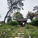 하대야동 이미지