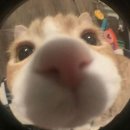 간석오거리역 | 24시간 간석오거리역 헬스장ㅡ 스포애니 간석오거리역점