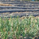 상대동-3 이미지