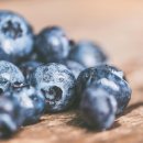 블루베리 이미지