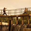 기묘한 여행 이미지