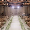 파티오-25 이미지